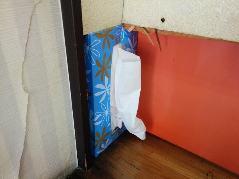 東天ラーメン-ティッシュ.jpg 東天ラーメン ティッシュ