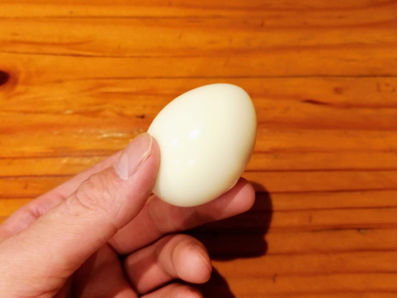 10茹で玉子.jpg 10茹で玉子