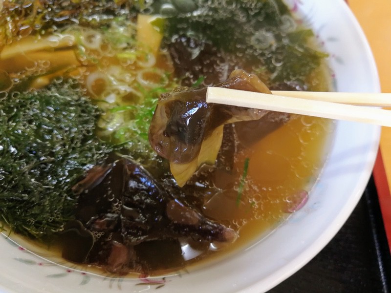 15まつも.jpg 15まつも