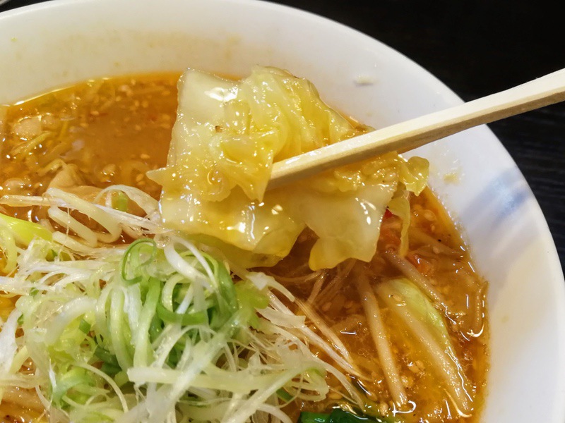 10キャベツ.jpg 10キャベツ