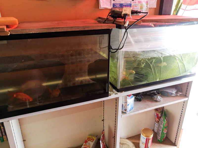 07水槽.jpg 07水槽