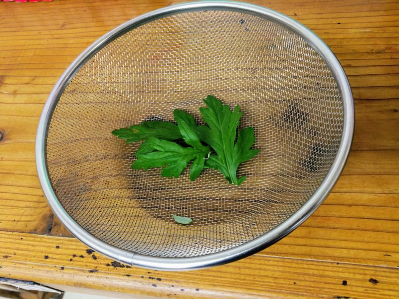 14フーチバー.jpg 14フーチバー