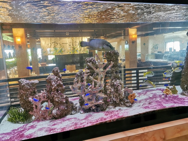 19水槽.jpg 19水槽