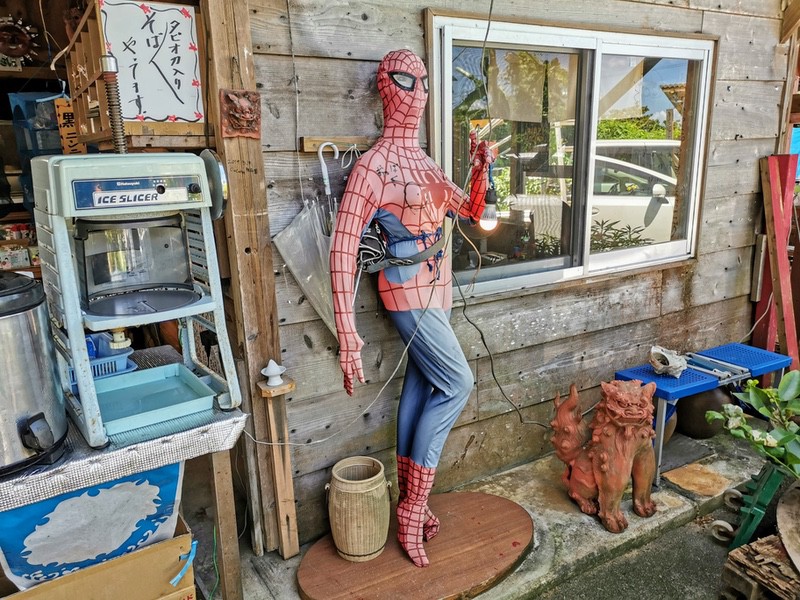 06スパイダーウーマン