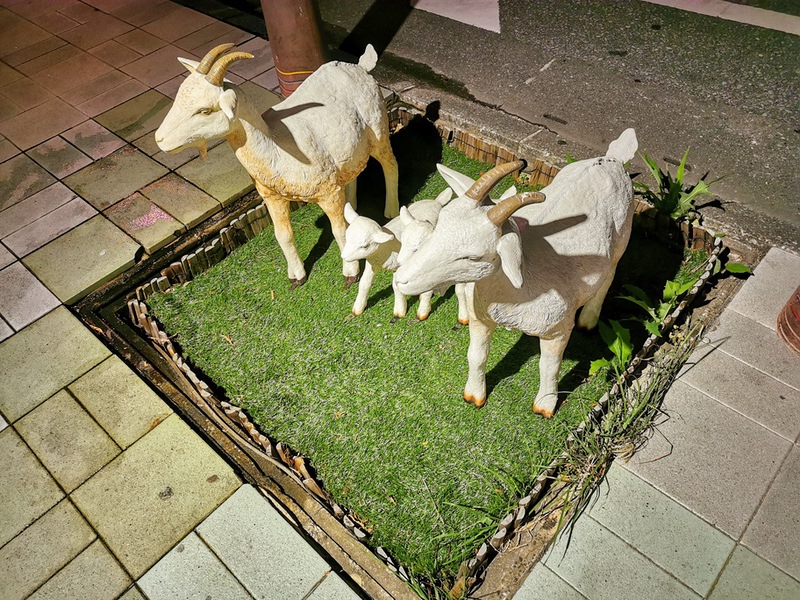 02山羊.jpg 02山羊