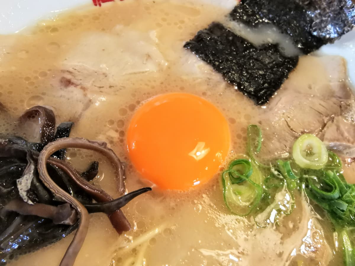 16生卵.jpg 16生卵