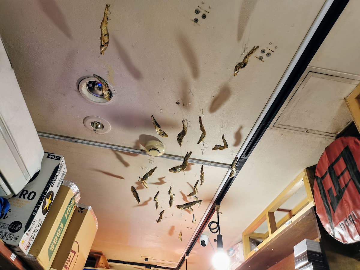 08天井.jpg 08天井